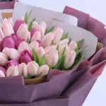 Sweet Pastel Tulips 3 sweet-pastel-tulips_2026_03