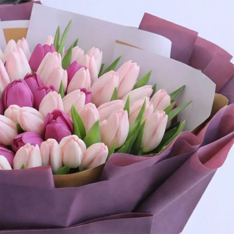 sweet-pastel-tulips_2026_03 sweet pastel tulips 2026 03