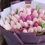 Sweet Pastel Tulips 4 sweet-pastel-tulips_2026_04