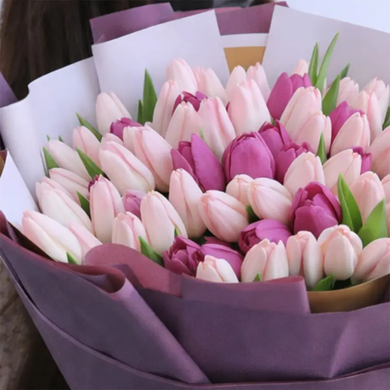 sweet-pastel-tulips_2026_04 sweet pastel tulips 2026 04