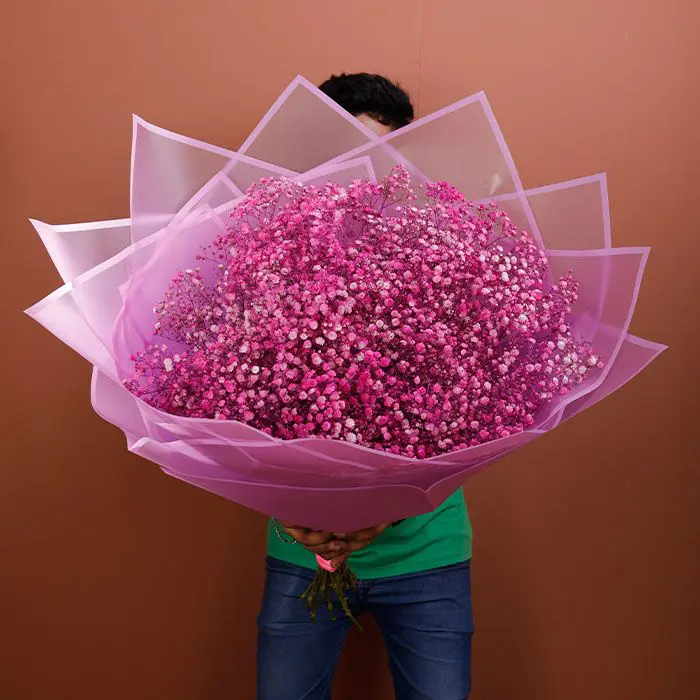 utmost_beauty_of_gypsophila_bouquet A bouquet of gypsophila delicately spray-painted in a soft pink shade in a pink wrap.