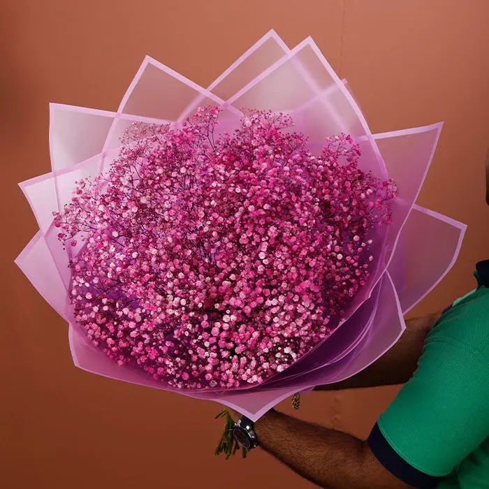 utmost_beauty_of_gypsophila_bouquet_2_ utmost beauty of gypsophila bouquet 2