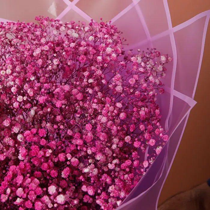 utmost_beauty_of_gypsophila_bouquet_3_ utmost beauty of gypsophila bouquet 3