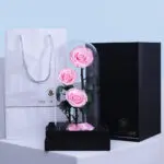 Pink Trio Forever Rose 2 01