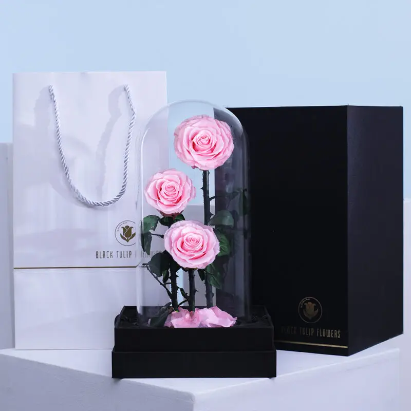 01 A dome-shaped transparent box set featuring a trio of light pink forever roses.