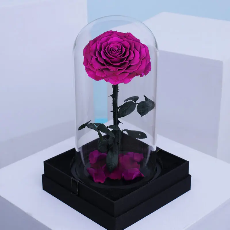 Single purple Forever Rose preserved in a transparent dome box.