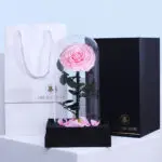 Single Pink Forever Rose 2 01