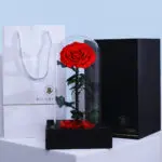 Single Red Forever Rose 3 01
