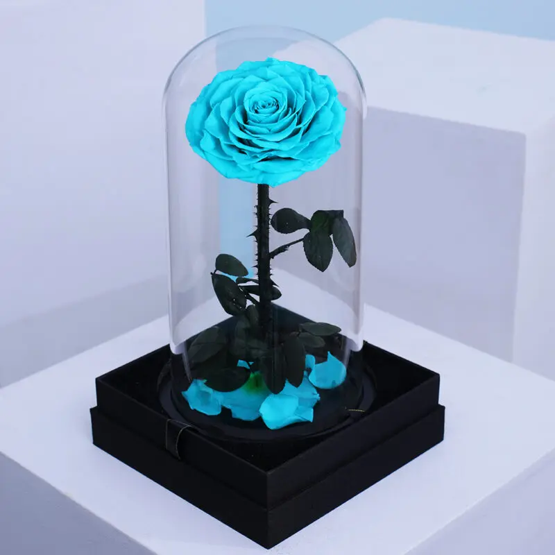 02 A single blue forever rose in a glass dome arrangement.