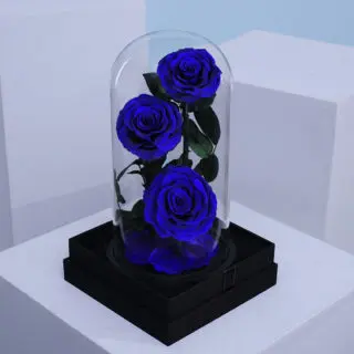 Valentines Day Home 46 Charming dark blue trio Forever Roses, beautifully preserved in a glass dome box.