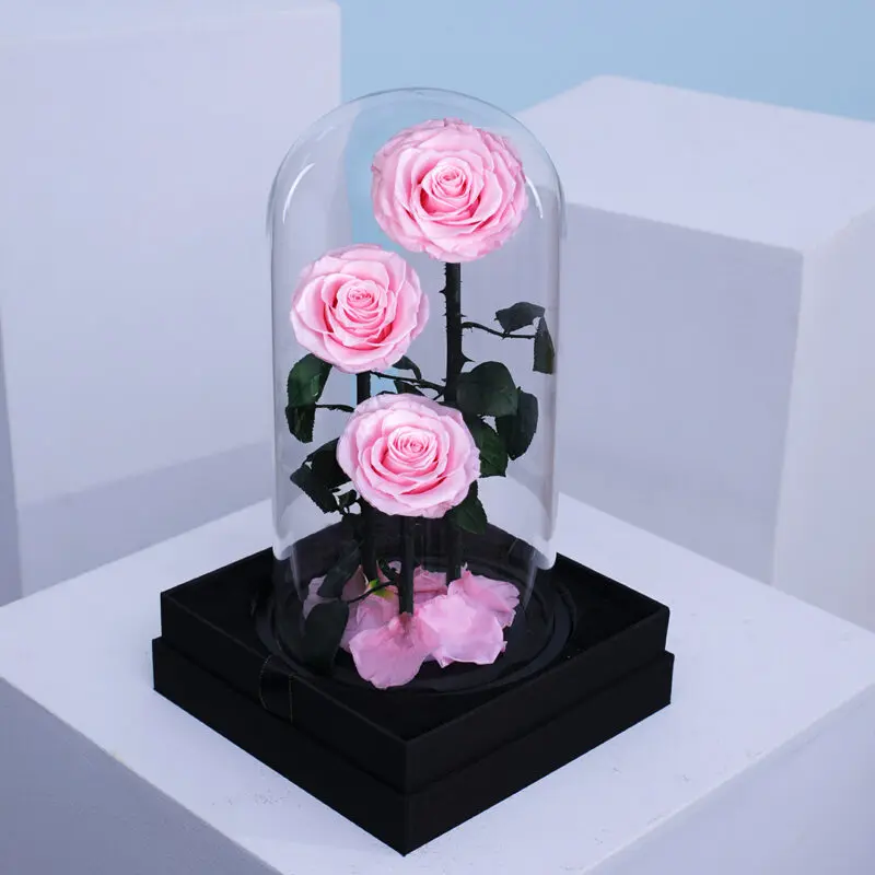 02 3 light pink forever roses in a stylish transparent domed box.