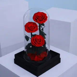 Valentines Day Home 31 3 vibrant preserved red roses arranged in a sleek glass domed box.