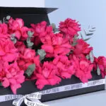 Compassionate Surprise 3 02