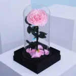 Single Pink Forever Rose 1 02