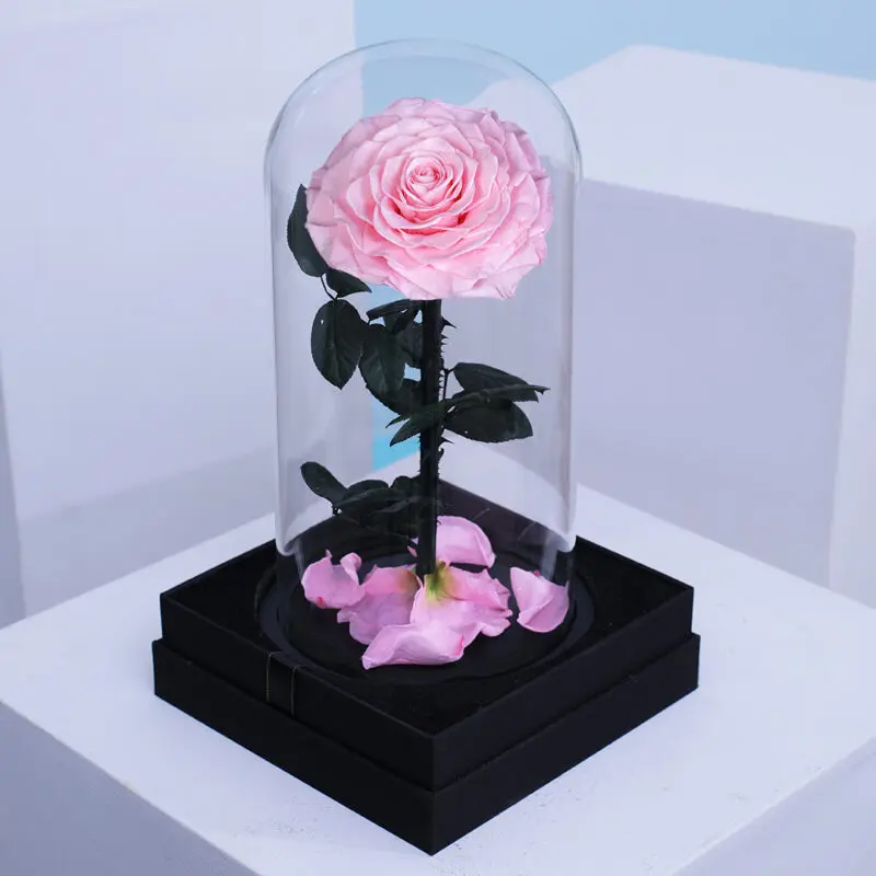 02 Single baby pink forever rose encased in a clear glass dome.