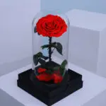 Single Red Forever Rose 1 02