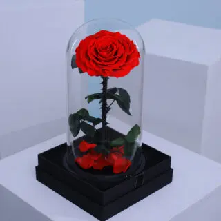 Valentines Day Home 45 A single red forever rose, encased in a clear glass dome.