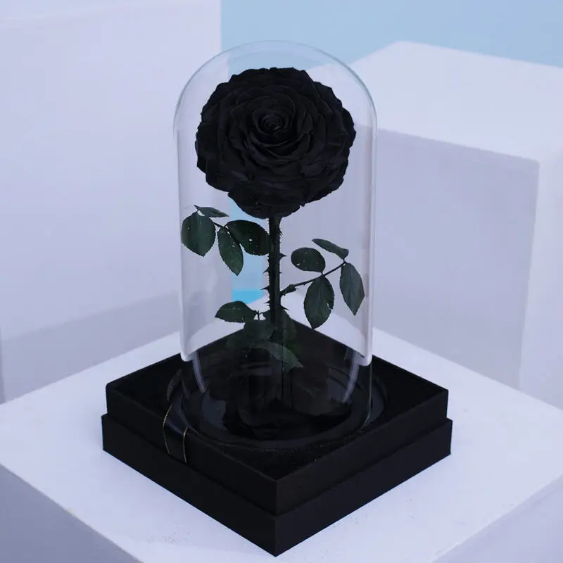 A single Forever black Rose encased in a transparent glass dome.