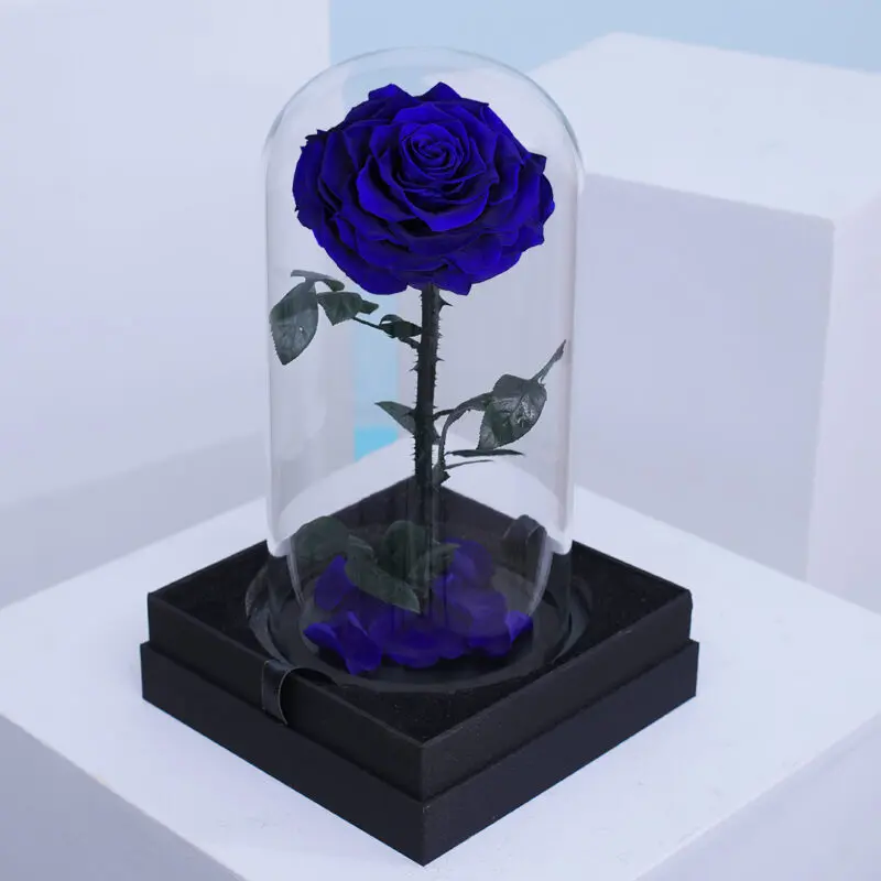 Elegant single dark blue preserved roses arranged in a clear dome box.