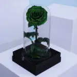 Single Green Forever Rose 1 03