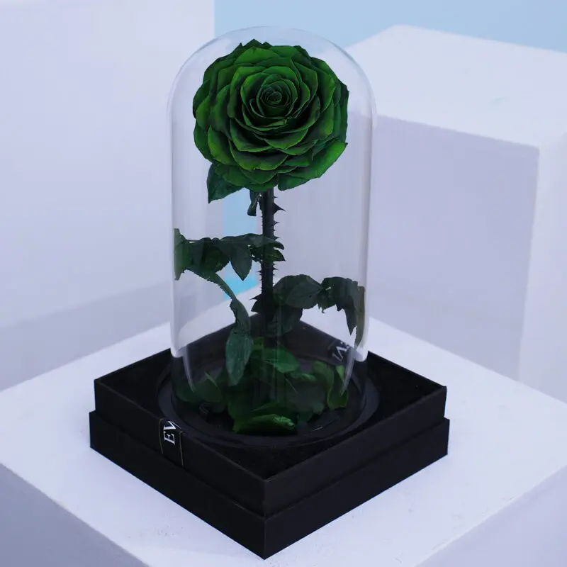 03 Single green forever rose in a transparent glass dome box.