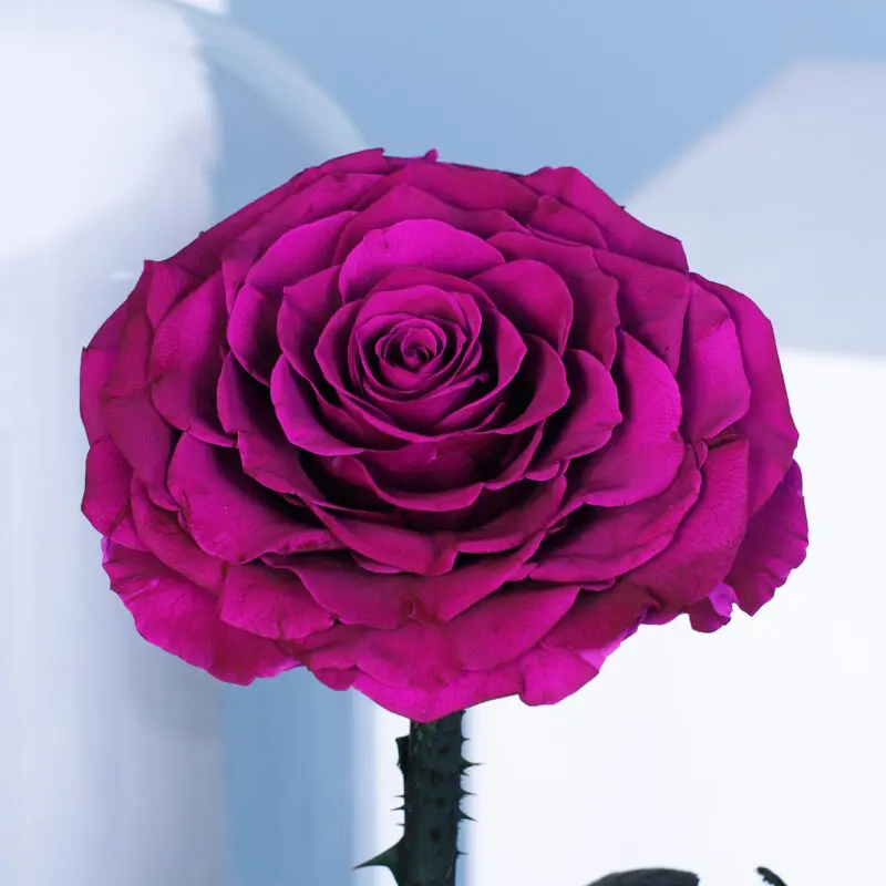 03 2