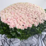 Graceful Roses 3 03