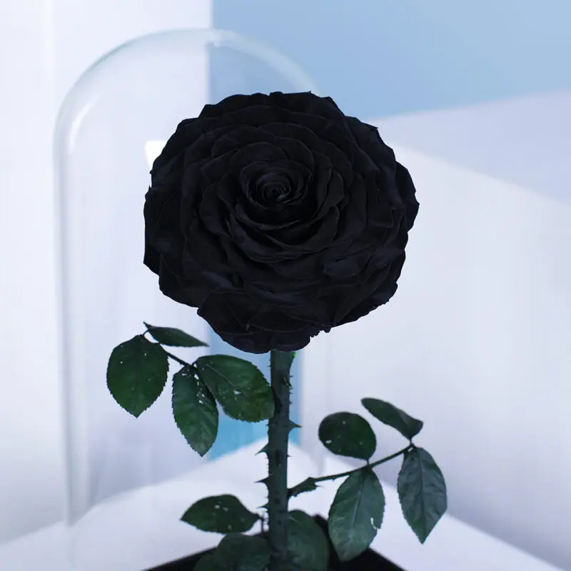 03 5