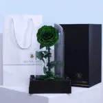 Single Green Forever Rose 2 03