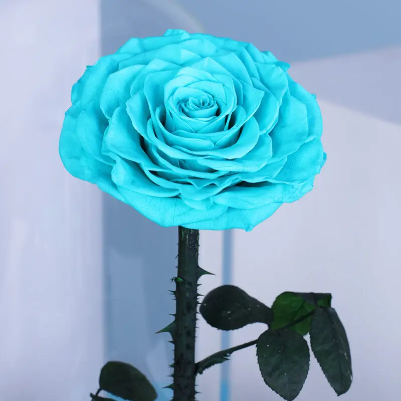 03 03 9