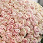 Graceful Roses 4 04