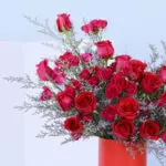 Bright Pink 2 4 (43)