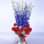 Vibrant Hue 1 BT_FL_2424
