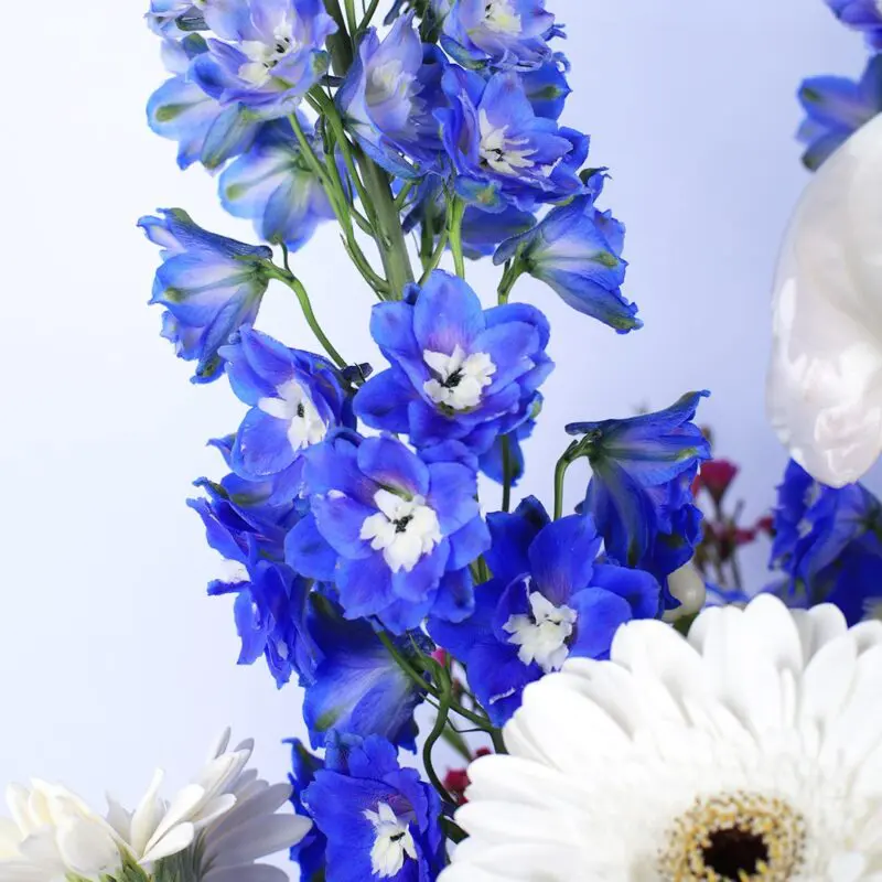 BT_FL_2427.02 BT FL 2427.02