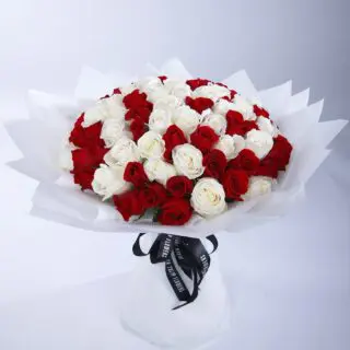 A bouquet of 100 red and white roses, beautifully arranged in a white wrap and tied with a classic black ribbon.