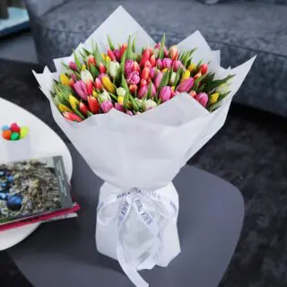 A bouquet of 100 mixed-colour tulips bouquet, tied with a white ribbon.