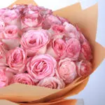 Attractive Pink 2 attractive-pink_2026_02