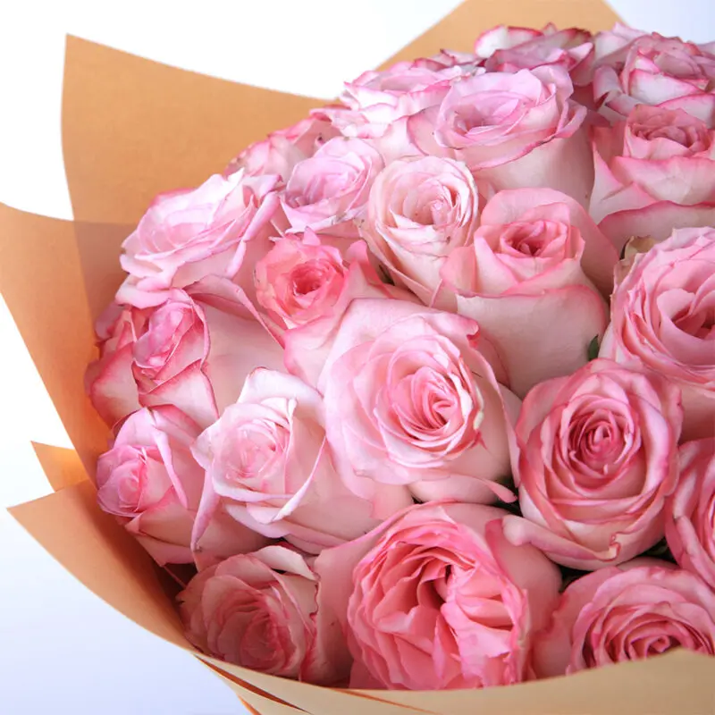attractive-pink_2026_03 attractive pink 2026 03