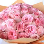 Attractive Pink 4 attractive-pink_2026_04