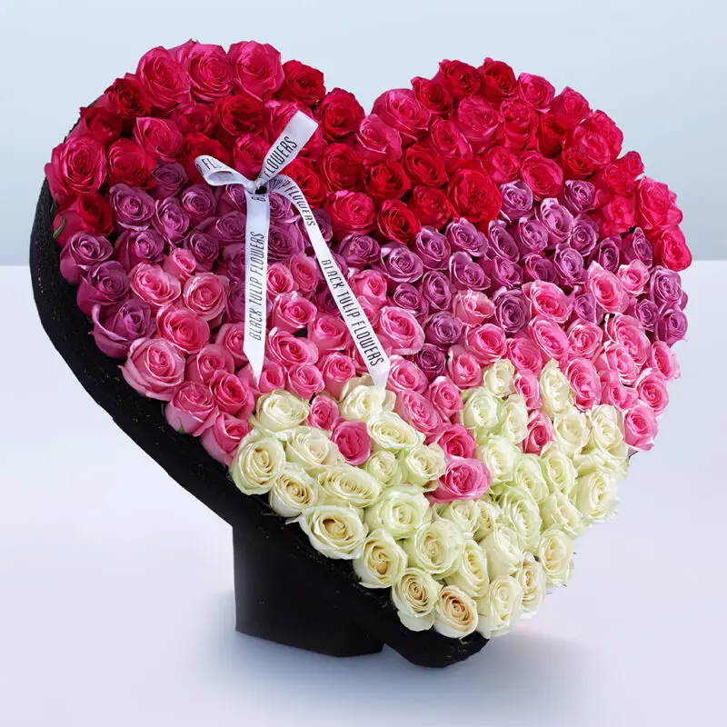 luscious-heart-arrangement-2026 180-200 mix coloured roses arranged in a heart shape, adorned with a white ribbon.