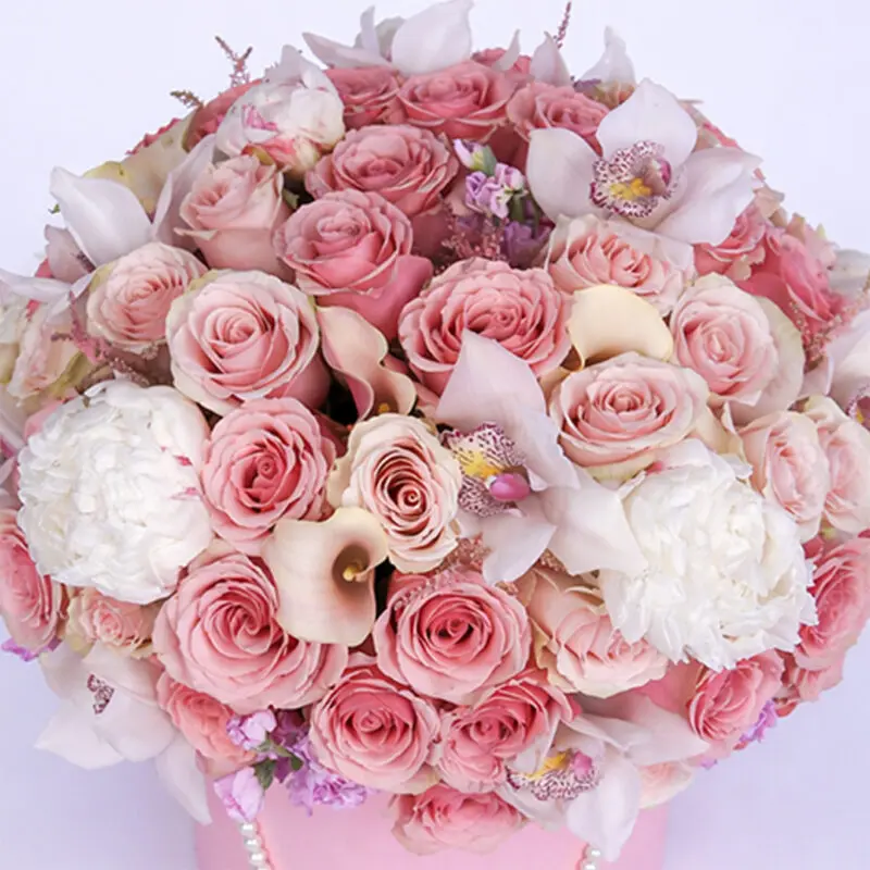 modish pink combination 2026 02