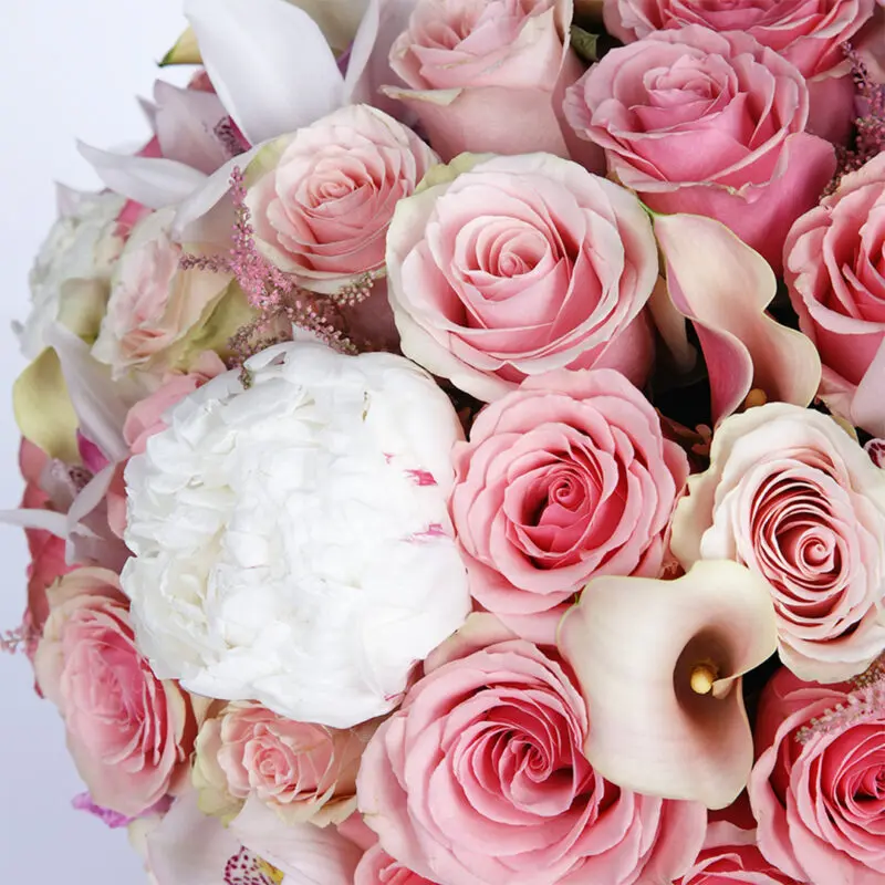modish pink combination 2026 03