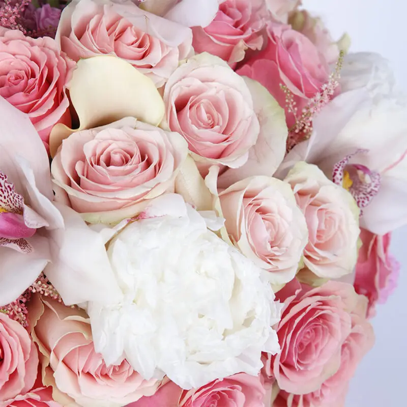 modish pink combination 2026 04
