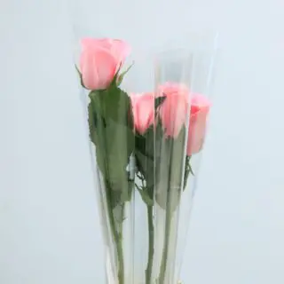 Three pink roses wrapped in clear plastic.