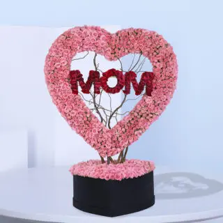 Mom My Heart