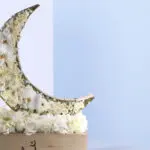 Ramadan Kareem - White Themed Crescent 2 Ramadan Kareem - White Themed Crescent2 (462)