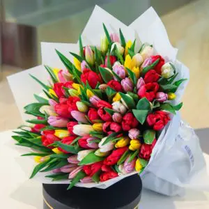 The Tulip Time