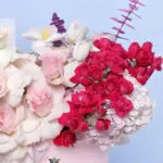 Artful Pink Box 2 artful-pink-box-2026_02
