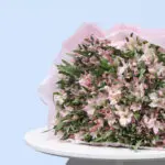 Alluring Pink Alstroemerias 4 4 (161)