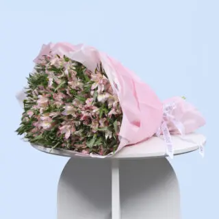 Alluring Pink Alstroemerias